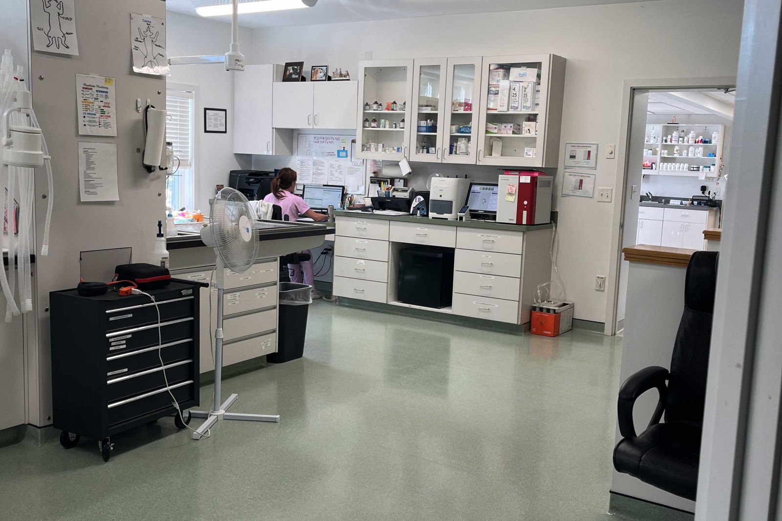 Treatment area