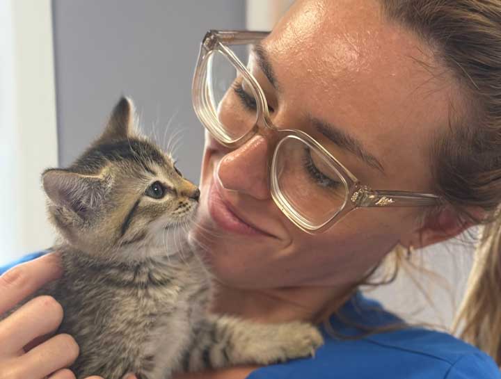 Preventive Care for Cats